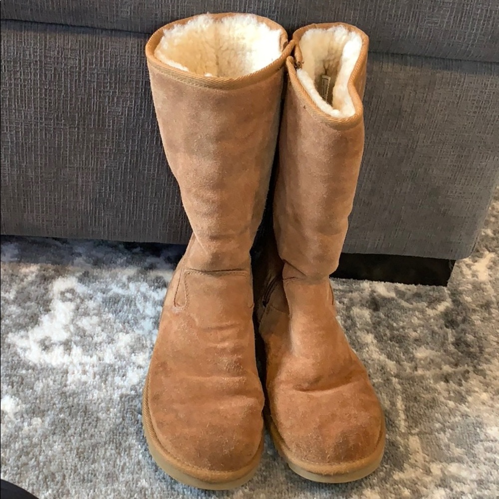 Ugg Tall Chestnut Zip Boots
